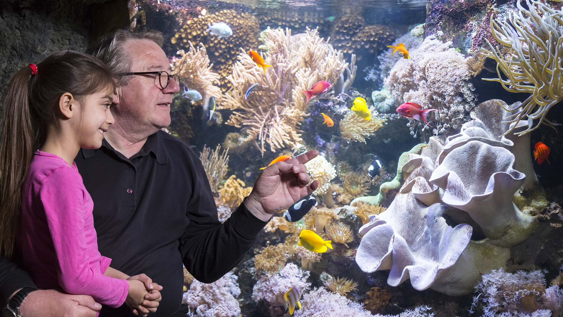 Sea Life Speyer (Kinder-Ticket)