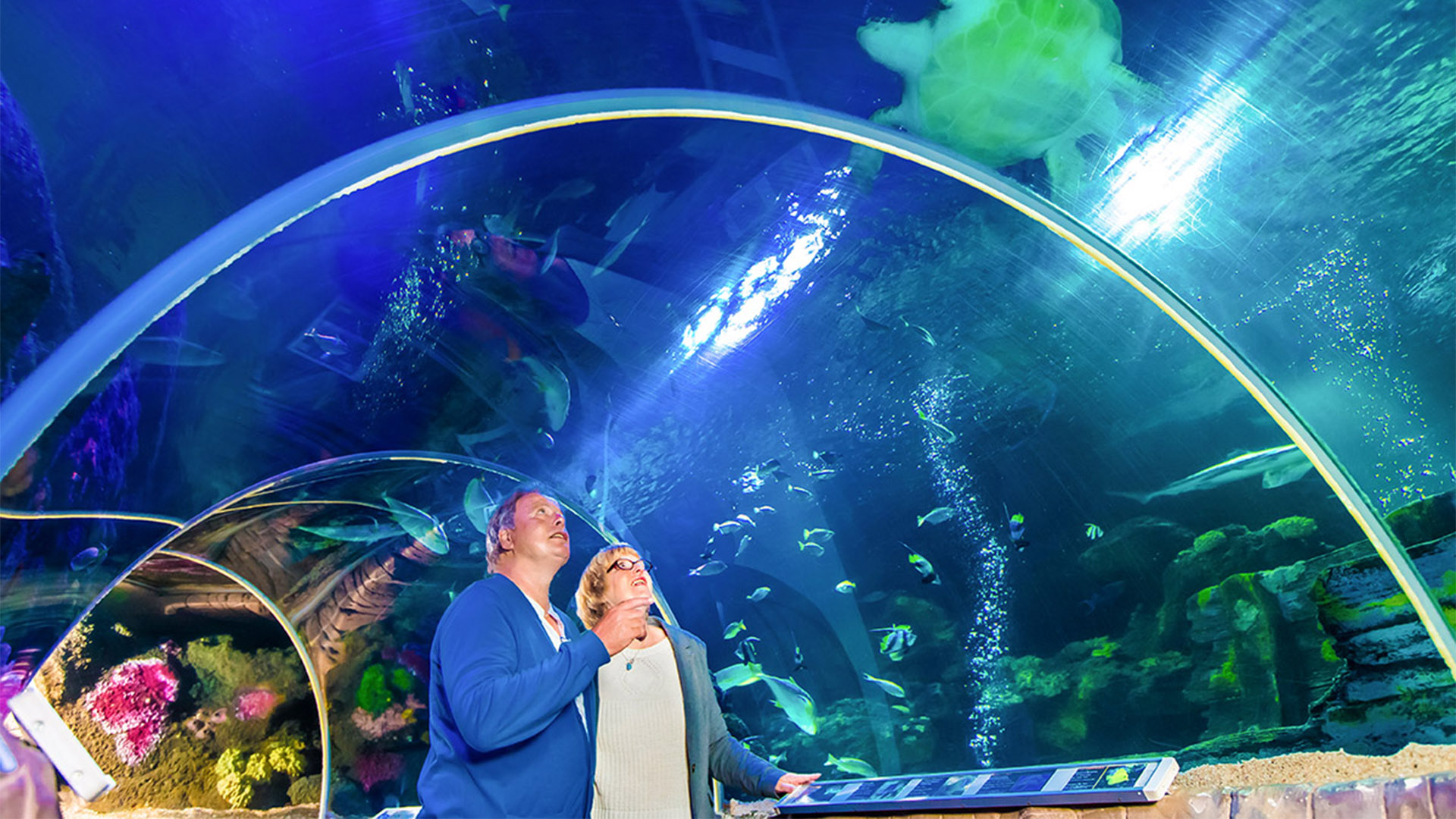 Sea Life Timmendorfer Strand (1 EW + 1 Kleinkind)