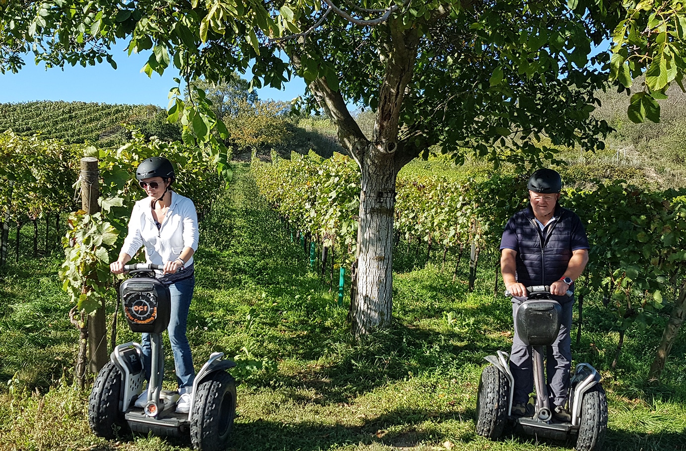 Segway Tour durch die Weingärten von Jois
