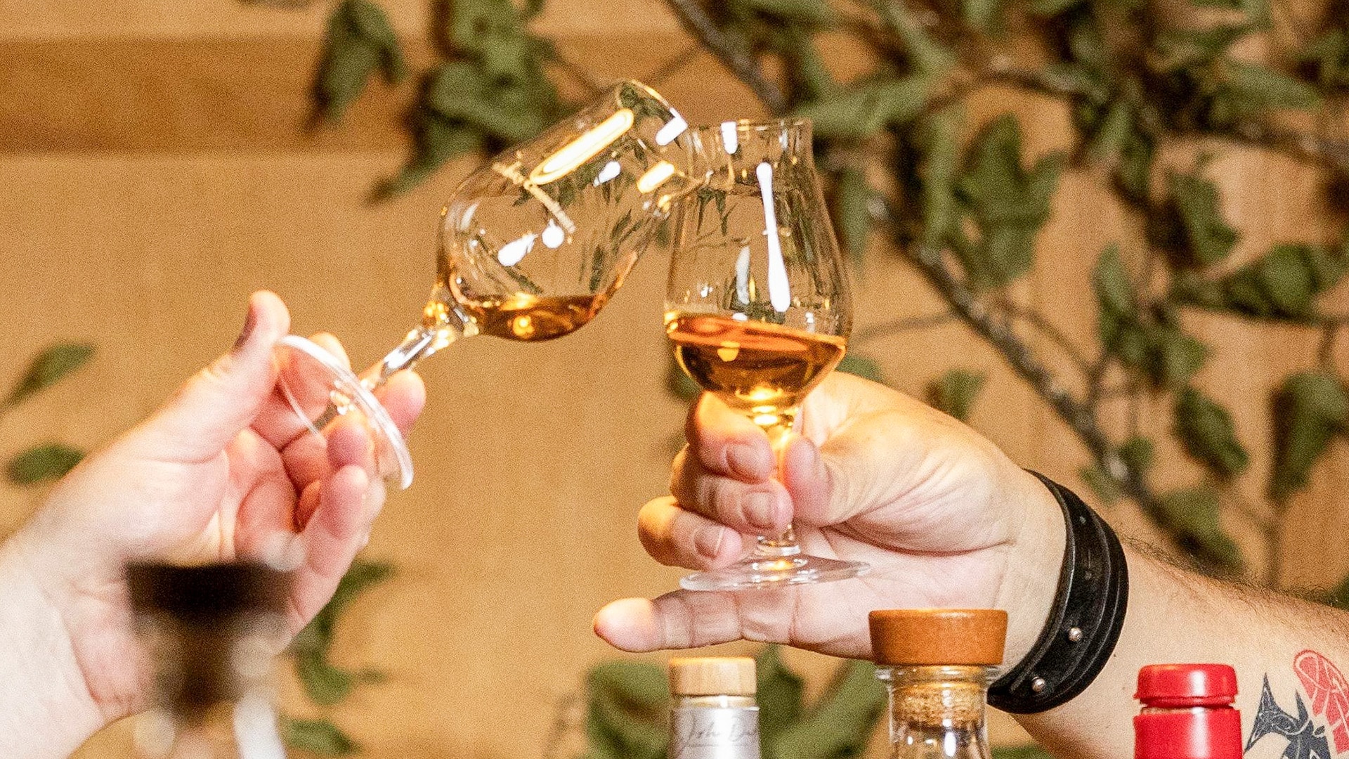 Spirits & Food Tasting Wien