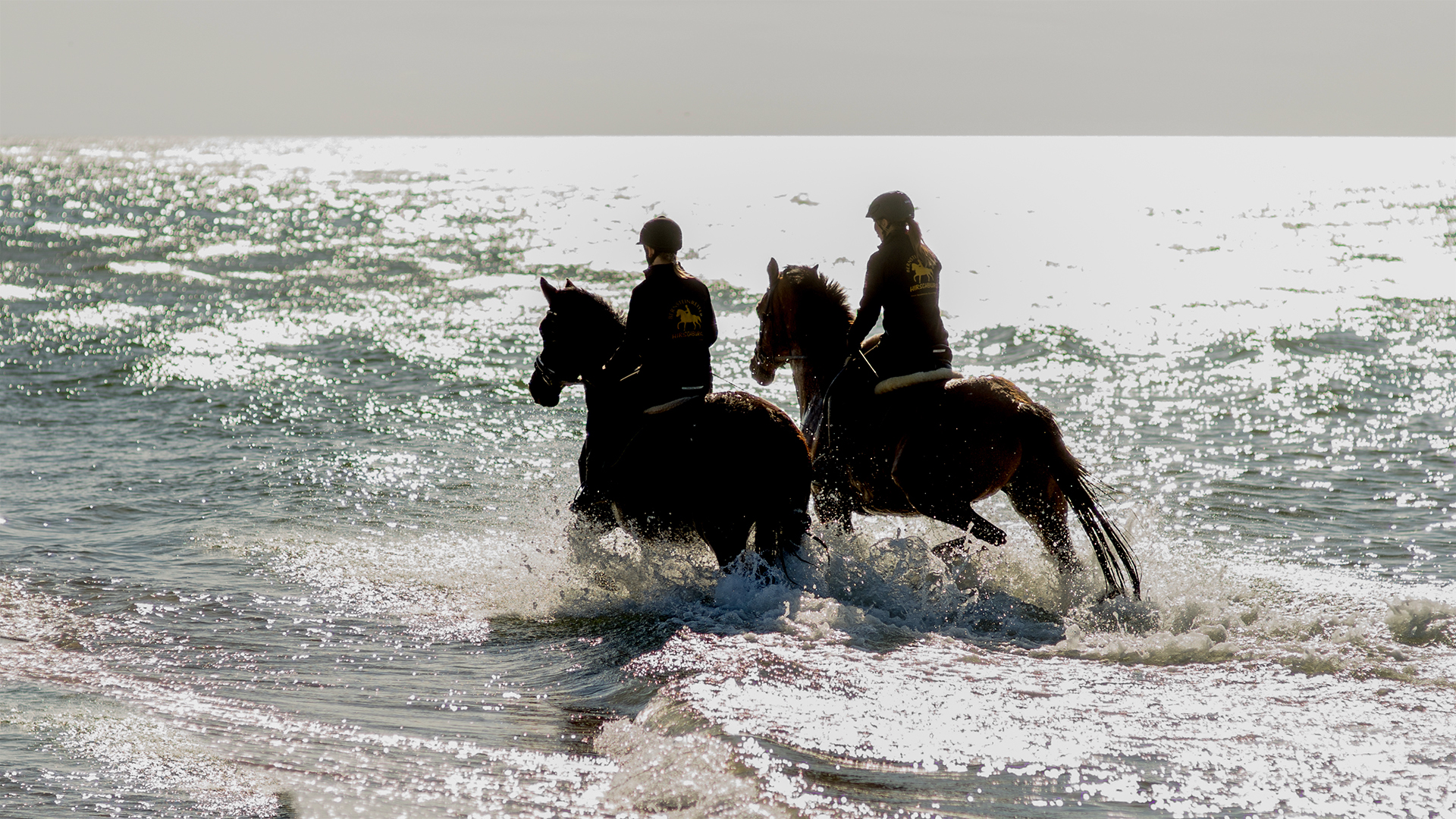 Strandritt Ostsee mit Probestunde Hirschburg (Okt. - Apr.)