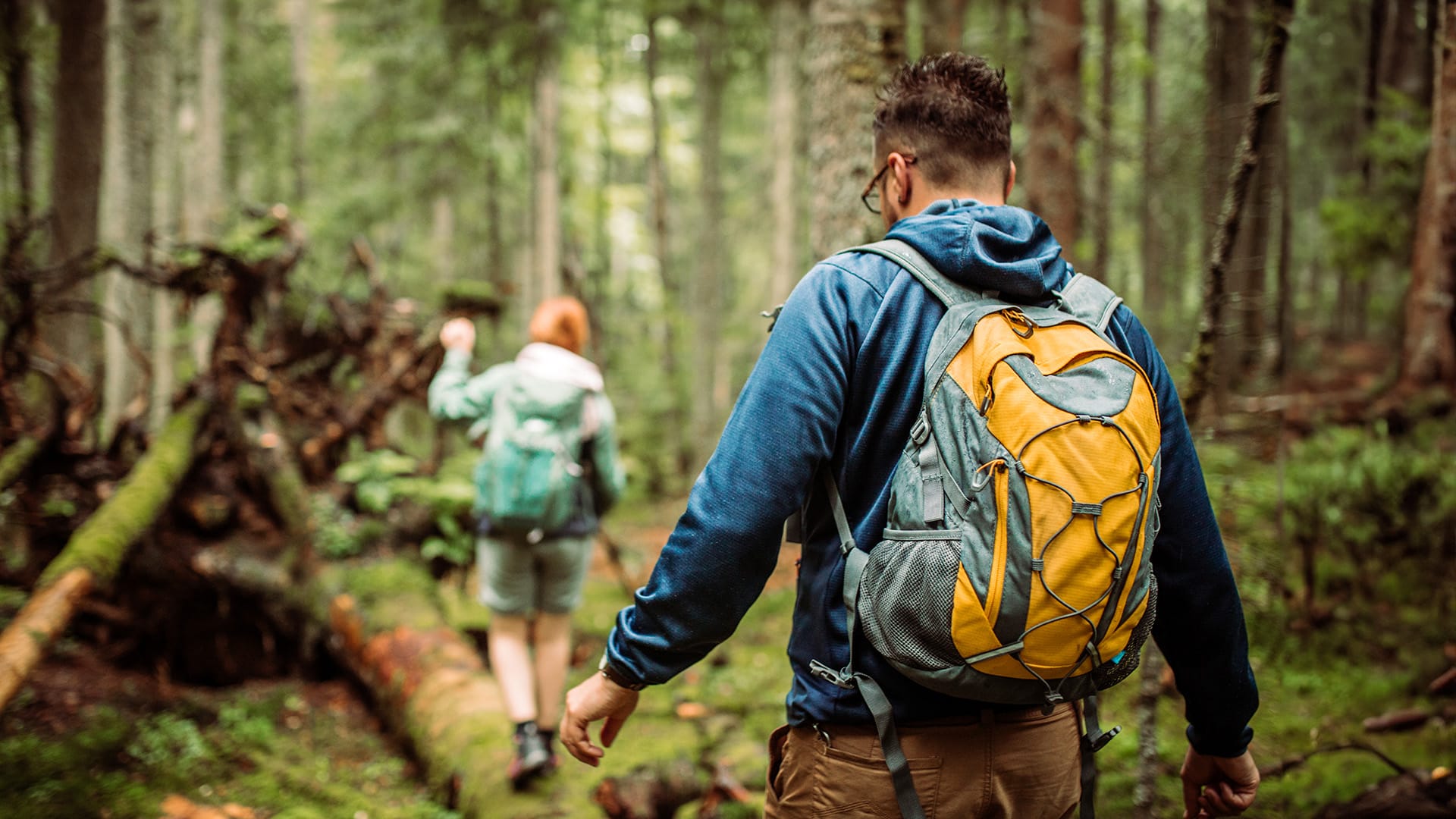 Survival Kurs Waldenbuch (9 Std.)