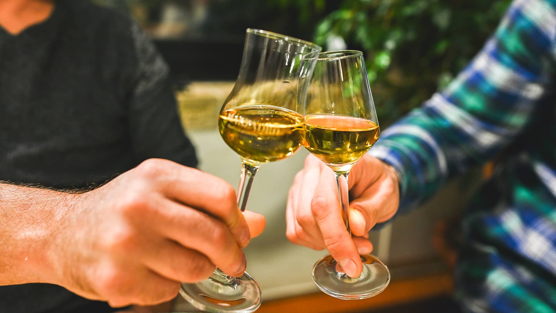 Tequila Tasting Wien Donaustadt