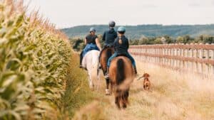 Wanderreiten Kapelln