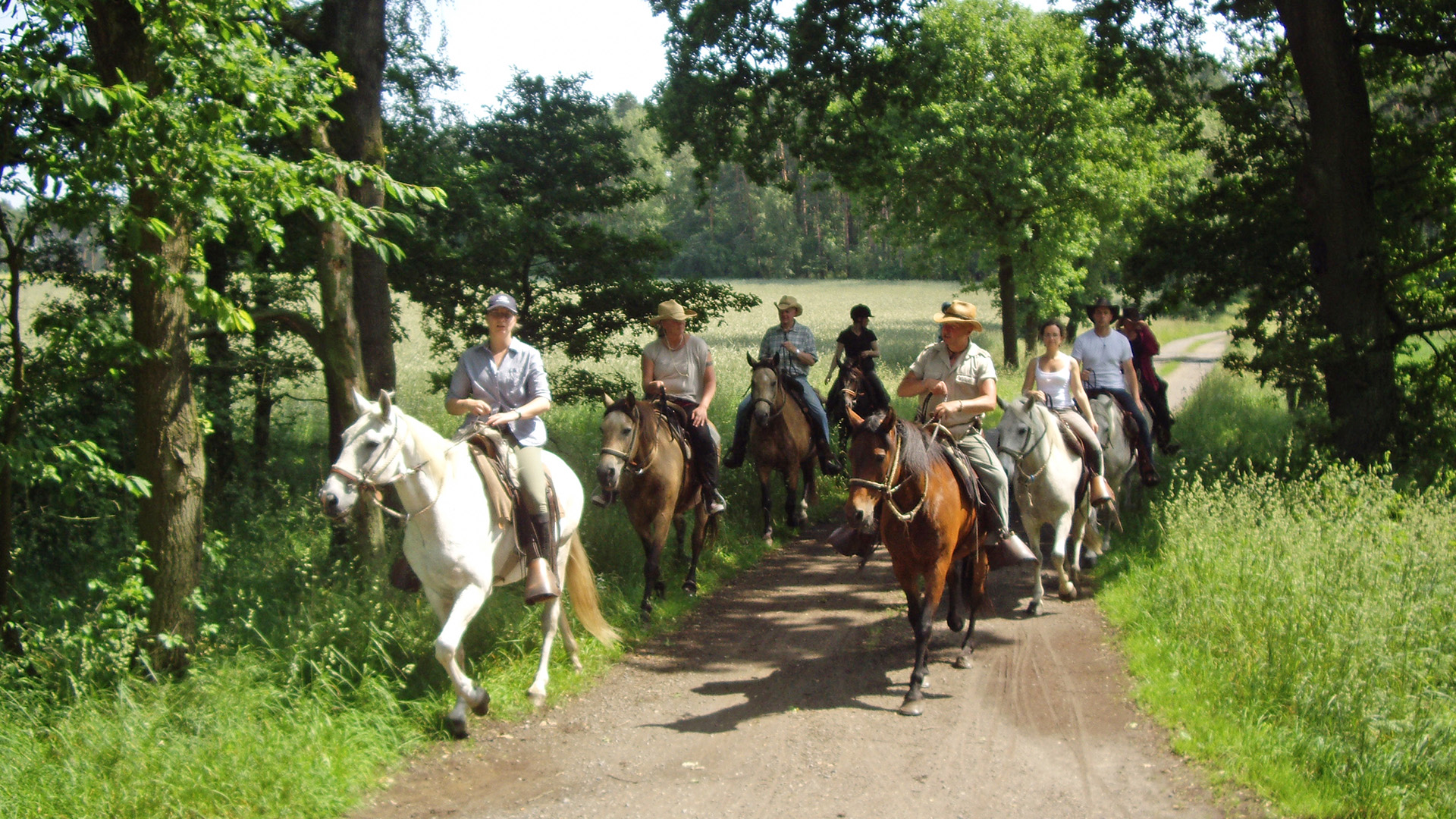Wanderreiten Neustadt am Rübenberge
