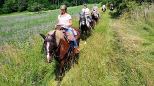 Wanderreiten mit Picknick Weiler bei Monzingen