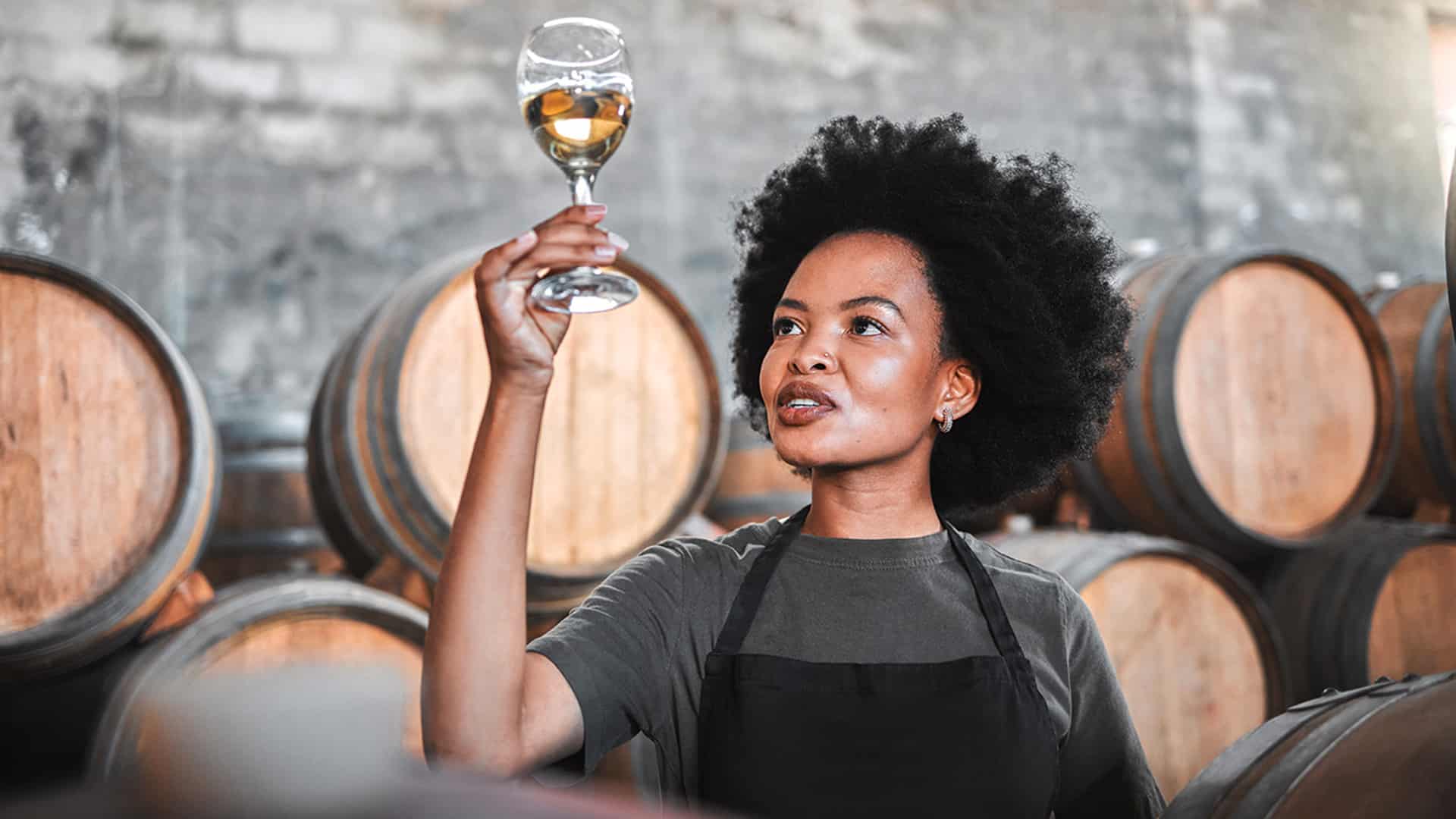 Wein & Käse Seminar Bern