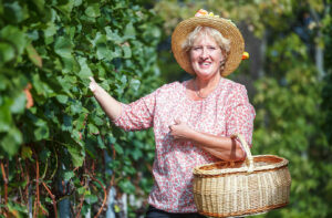 Weinbergwanderung in Buchholz