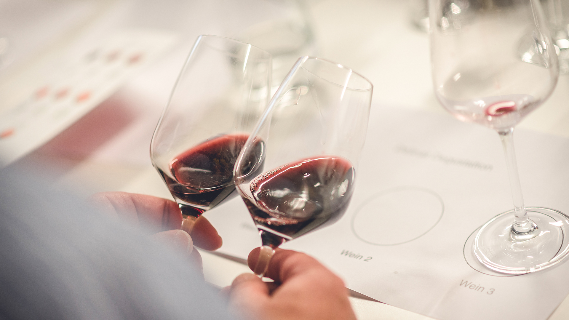 Weinseminar für Einsteiger Bremen