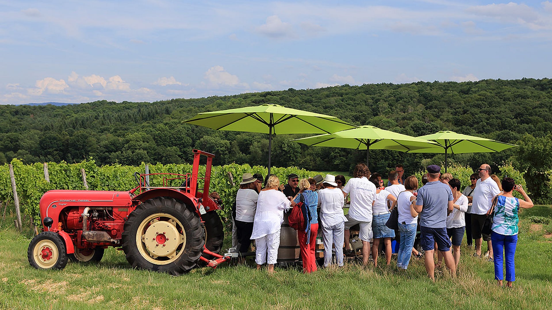 Weinseminar in Zeilitzheim (Rundfahrt & Verkostung)