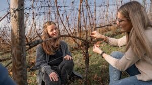 Weinwanderung Lieser an der Mosel